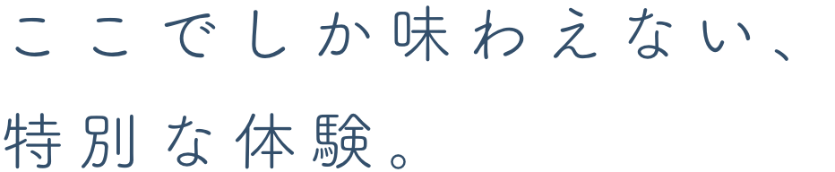 ここでしか味わえない、特別な体験。